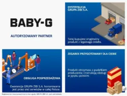 Zegarek damski Casio Baby-G BA-110-1AER