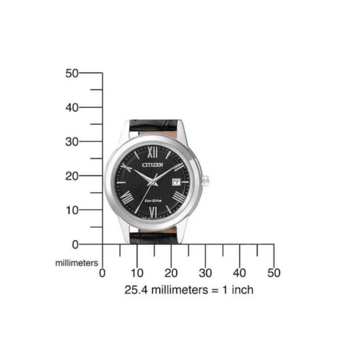 Zegarek damski Citizen Eco-Drive FE1081-08E