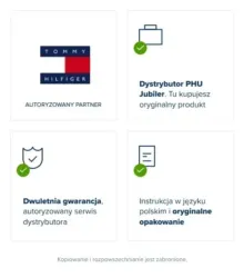 Zegarek męski Tommy Hilfiger Damon 1791421