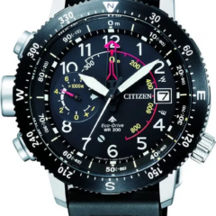 Citizen BN4044-15E