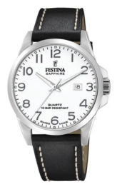 Zegarek męski Festina Swiss Made F20025_1