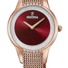 Festina 20496/1