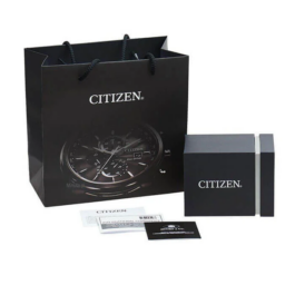 Zegarek męski Citizen Aviation Marine AW1710-80E