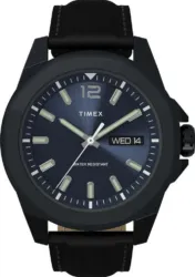 Zegarek męski Timex Essex Avenue TW2V42900