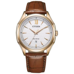Zegarek męski Citizen Classic Elegant AW1753-10A