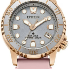 Citizen EO2023-00A