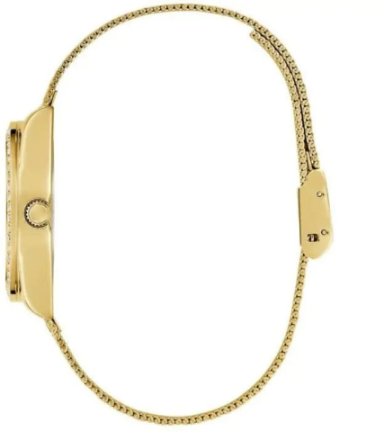 Zegarek damski Guess Boa GW0748L2