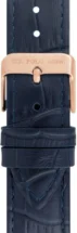 Zegarek męski U.S. Polo Assn. Eagle USP7322RG