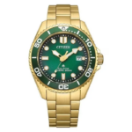 Zegarek męski Citizen Promaster Eco-Drive Diver BN0262-59W