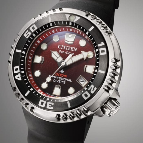 Zegarek męski Citizen Promaster Marine Professional Diver BN1024-01Z