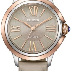 Citizen EM1166-01Z