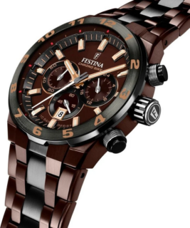 Zegarek męski Festina Special Editions F20708_1