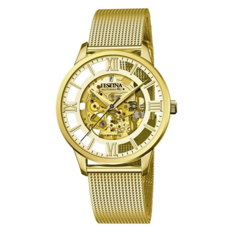 Zegarek męski Festina  F20667_1