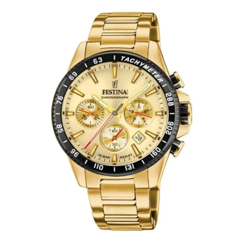 Zegarek męski Festina Timeless F20634_6