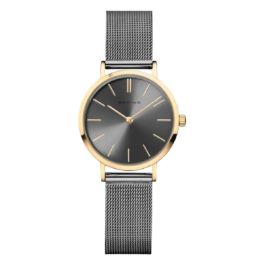 Zegarek damski Bering Classic 14129-232