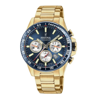 Zegarek męski Festina Timeless F20634_2