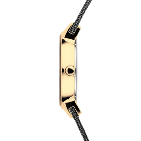 Zegarek damski Bering Classic 10126-132