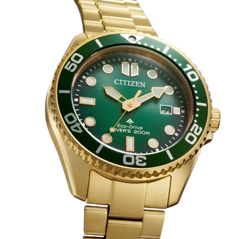 Zegarek męski Citizen Promaster Eco-Drive Diver BN0262-59W