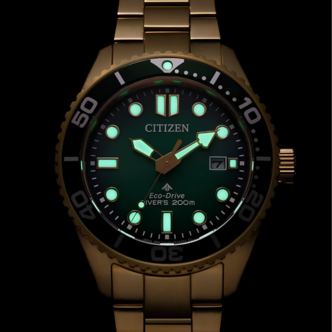 Zegarek męski Citizen Promaster Eco-Drive Diver BN0262-59W