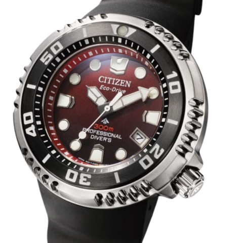 Zegarek męski Citizen Promaster Marine Professional Diver BN1024-01Z