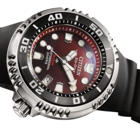 Zegarek męski Citizen Promaster Marine Professional Diver BN1024-01Z