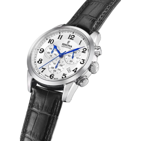 Zegarek męski Festina Swiss Made F20041_1