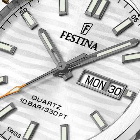 Zegarek męski Festina Swiss Made Dune F20073_1