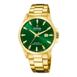Zegarek męski Festina Swiss Made F20044_5