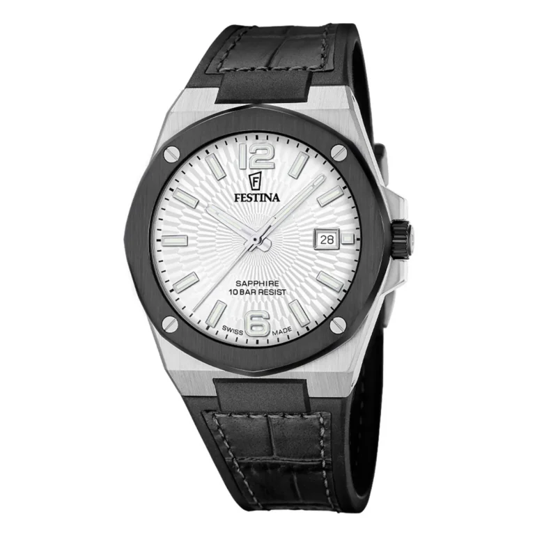 Zegarek męski Festina Swiss Made Vallee F22001_1