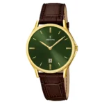 Zegarek męski Festina Classic Strap F16747_5