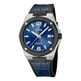 Zegarek męski Festina Swiss Made Vallée F22001_2