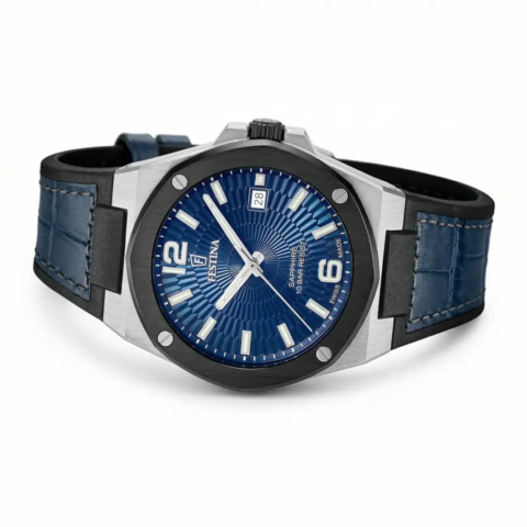 Zegarek męski Festina Swiss Made Vallée F22001_2